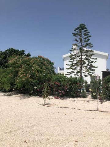 Villa Olivia, Korall-öböl
