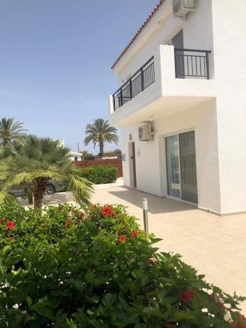 Villa Olivia, Korall-öböl